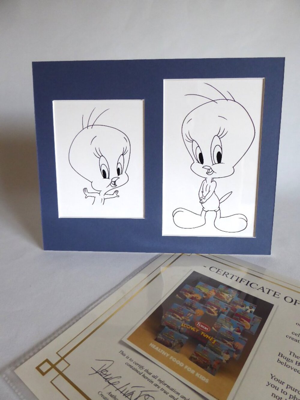 OOAK LOONEY TUNES WARNER BROS. PRODUCTION CEL ARTWORK TWEETY BIRD (w/ C of A)